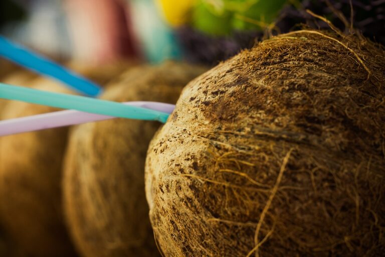 Poultry Farming and Agro-ecological Practices: Allpaanel com mahadev book, Playexchange99, Gold365 login