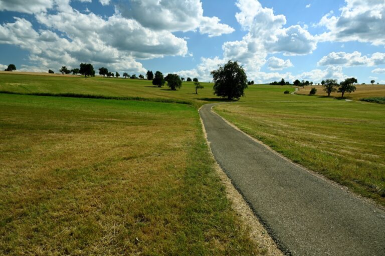 Fleet Vehicle Upfitting: Customization for Specific Needs: Play 99 exchange, Lotusbhai, Playexch in login