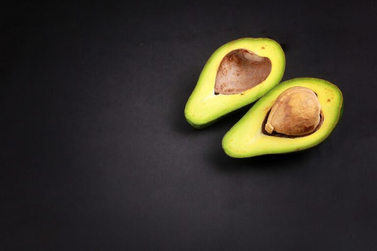 Bioprinting Organs: Advancements in Transplantation Technology