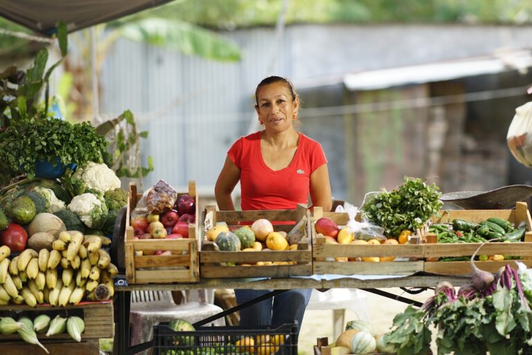 The Evolution of Sustainable Packaging Materials: Innovations in Eco-Friendly Design