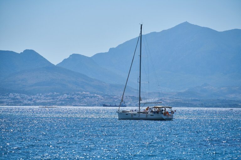 Cricket’s Representation in Virtual Reality Training and Simulation Programs