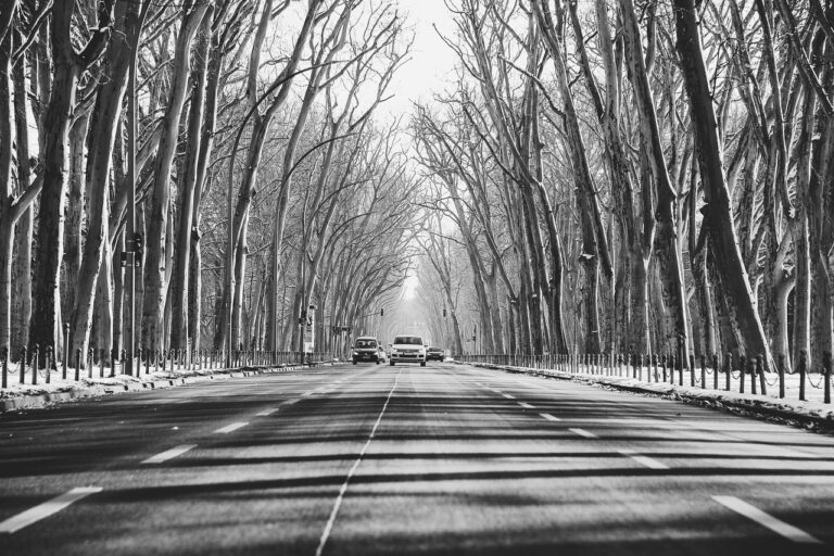 The Future of Autonomous Trucking in Fleet Logistics: Laser247 com login id and password, Lotus 365.vip, Sky 247 login