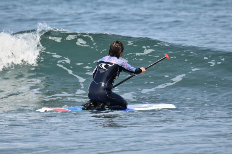 Analyzing Cricket’s Influence on Cultural Diplomacy, Peacebuilding, and International Relations