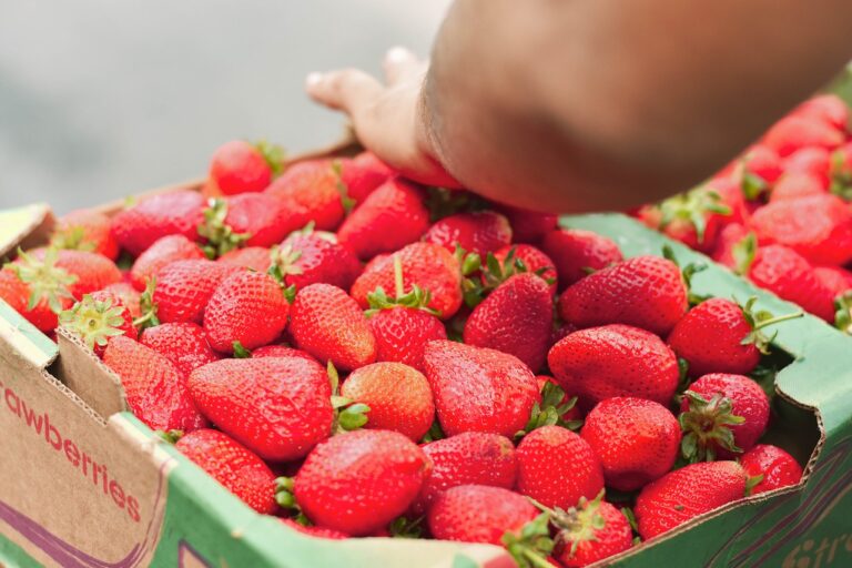 Innovations in Poultry Farm Planning: Betbhai.com exchange, Play99 exchange, Gold365 registration