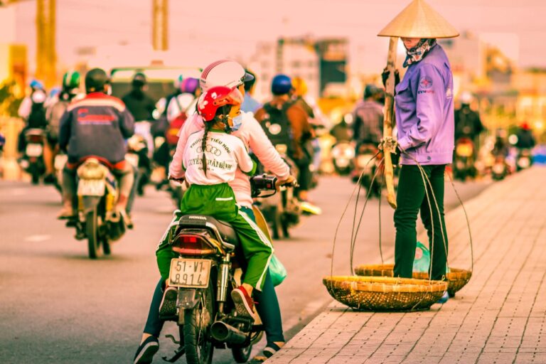 How to Create a Floral Display for Your Shop: Allpanelexchange, Lotus365 book, Laser book 247