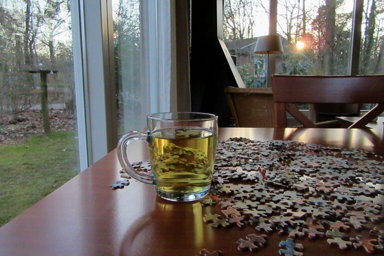 The Art of Firewood Storage: 11xplay.com login, India24bet 24, Skyexchange fair